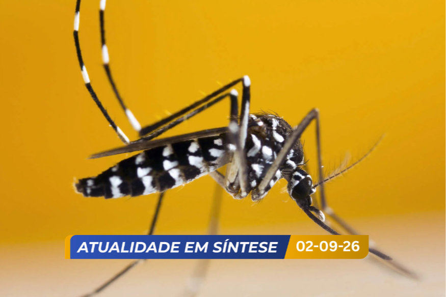 Mosquito-tigre 'instalou-se' em Bonnevoie