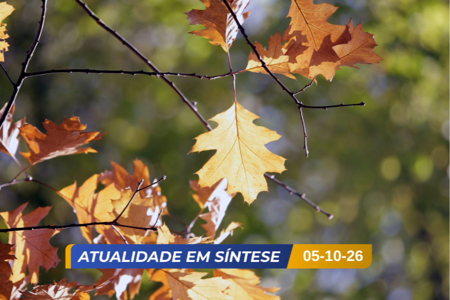 Temperaturas caem dez graus até ao fim da semana